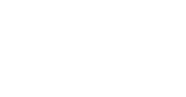 BSSB Logo
